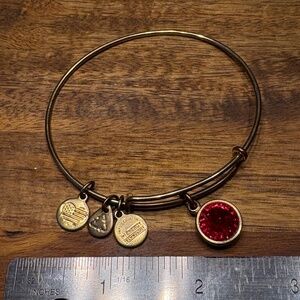 Alex and Ani (+) Energy Gold and Ruby Bracelet